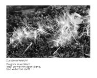 Fotomarathon 2 37